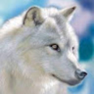 Meet your Posher, Araya